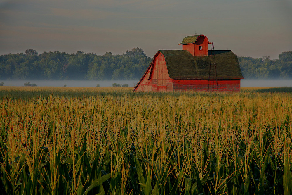 farm and crop insurance Cape Girardeau MO